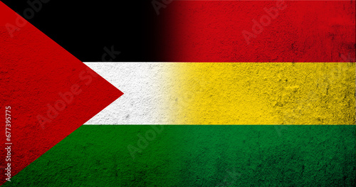Flag of Palestine and Plurinational State of Bolivia National flag. Grunge background photo