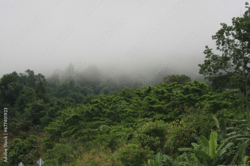 beautiful nature relax beautiful nature relax