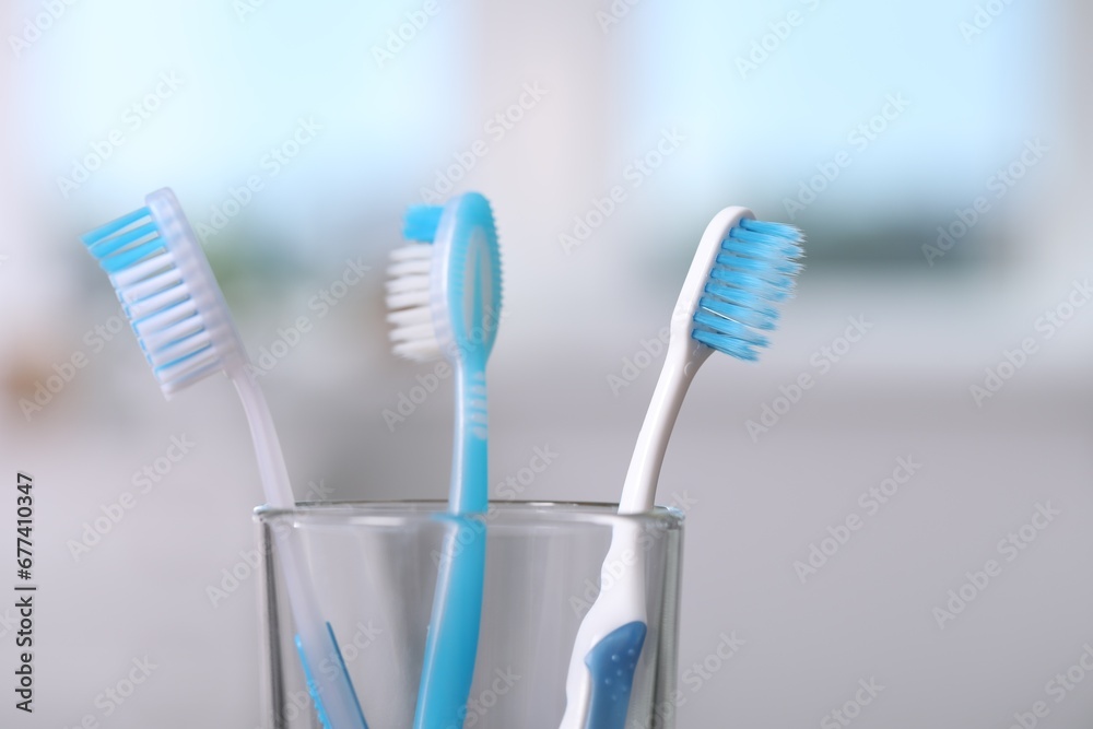 Plastic toothbrushes in holder on blurred background, closeup