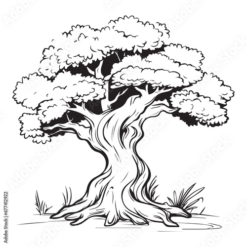 black and white tree photo