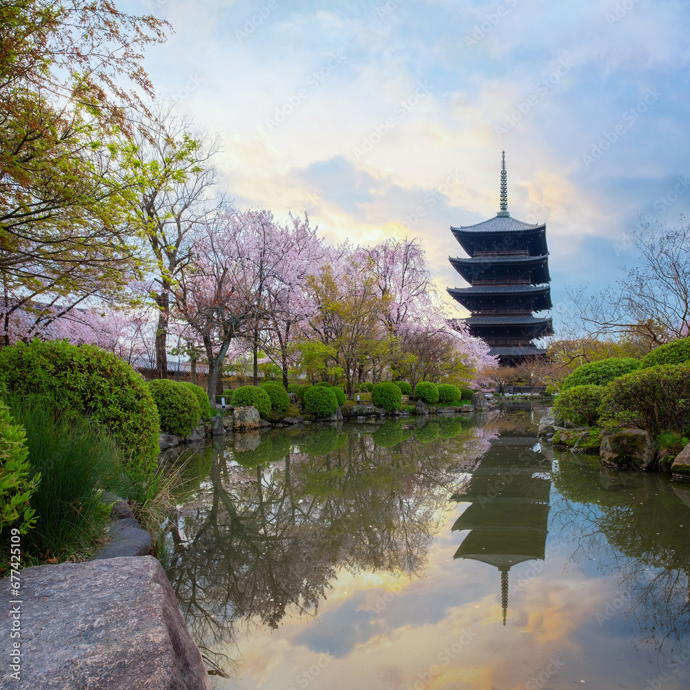 Toji Temple in Kyoto, Japan with beautiful full bloom cherry blossom during springtime Toji Temple in Kyoto, Japan with beautiful full bloom cherry blossom during springtime