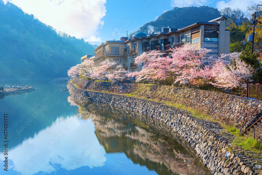 Prefectural Uji Park in Kyoto, Japan with full bloom cherry blossom is the symbol of Uji City with beautiful landscape of the town and provides opportunities for repose and recreation