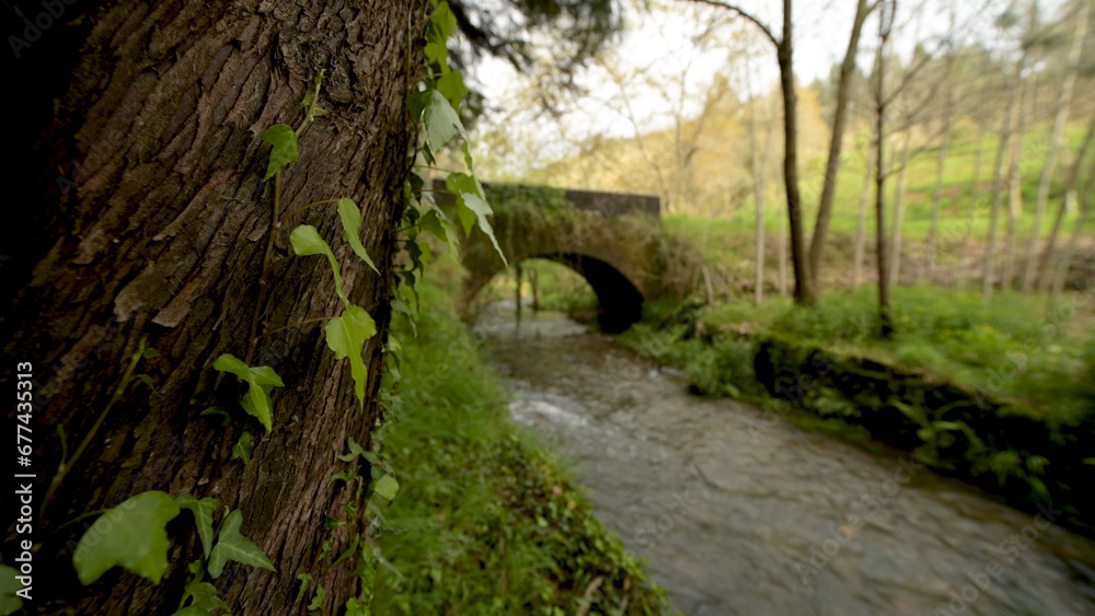 Old rock bridge over Filveda river Old rock bridge over Filveda river