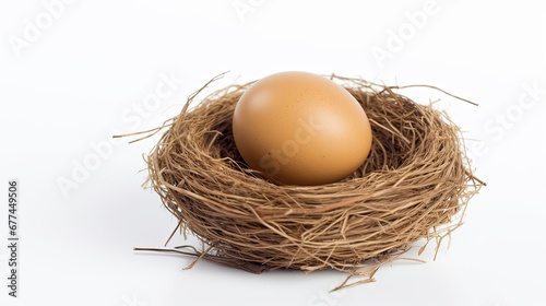 An egg in nest isolated on white background