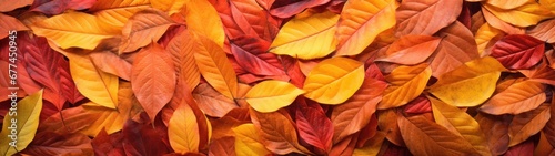 a pile of colorful leaves