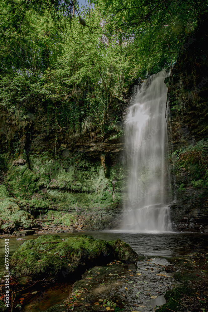 Obraz premium waterfall in the forest