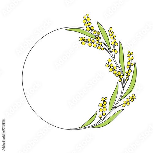 Continuous line drawing circle frame with blooming mimosa branch. One line drawing golden wattle wreath isolated on white background. photo