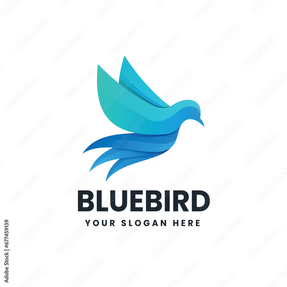Bird colorful logo vector icon illustration