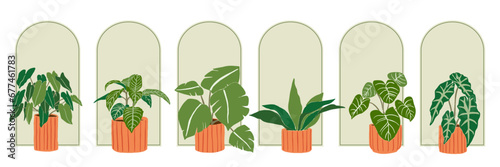 Collection of beautiful home plants and green windows on a white background. Different home indoor green decor illustrations for decoration.