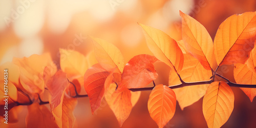 Autumn Leaves Background with a Fall-Filled Bokeh Effect Captivating Leaves Background with Delicate Bokeh Flourish