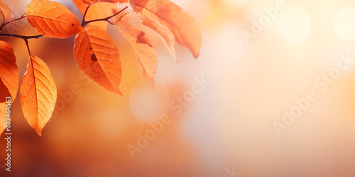 Beautiful autumn foliage background with brunches and falling tree leaves Capturing the Beauty of Autumn Foliage and Falling Leave 