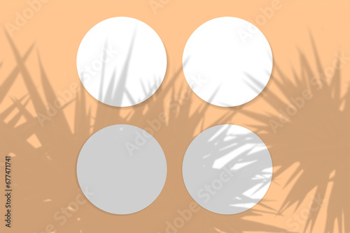 Wallpaper Mural Natural light casts shadows from the palm tree on 4 round sheets of white textured paper lying on a orange textured background. Mockup Torontodigital.ca