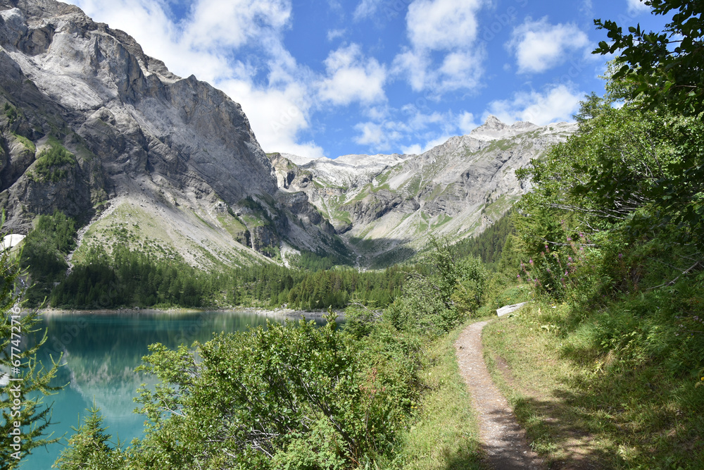 Swiss Alps, Lake, and Forest Hiking Trail in Summer