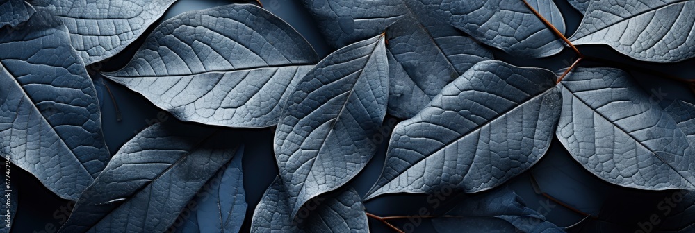 Macro Shot Veins Gray Leaves Texture , Banner Image For Website, Background Pattern Seamless, Desktop Wallpaper