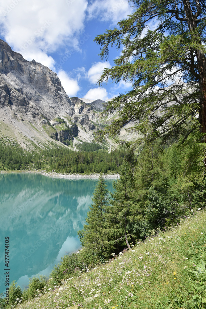Forest and Lake in the Swiss Alps, Portrait