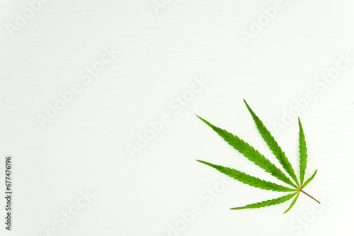 Cannabis leaf  marijuana on white background  top view copy space