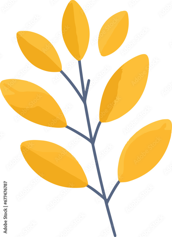 Fototapeta premium autumn leaves isolated on white