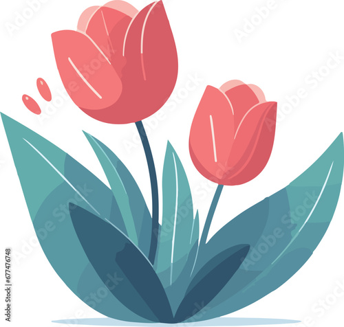 pink tulips on white