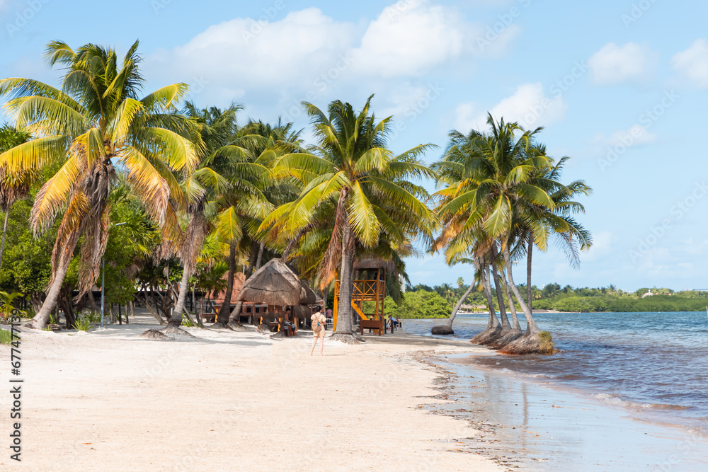 Obraz premium Paradise Sunny beach with palms and turquoise sea. Summer vacation and tropical beach concept - Cancun, Mexico