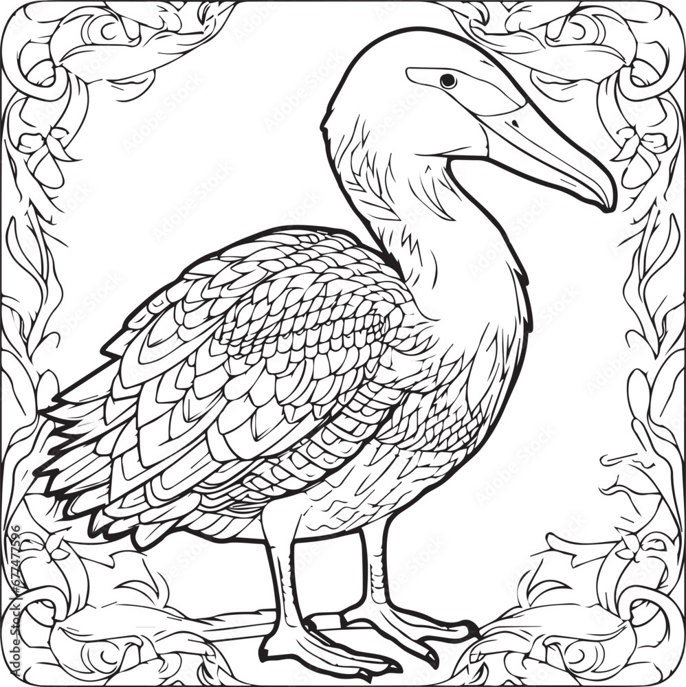 Drawing of a pelican line art coloring page design Drawing of a pelican line art coloring page design