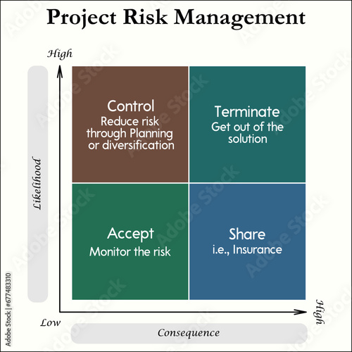 Project Risk Management - Control, Terminate, Share, Accept. Infographic template