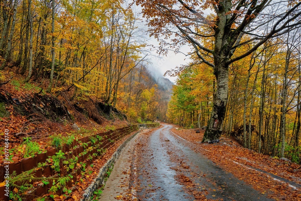 Mountain Road  through Thethi National Park in northern Albania showing the magnificent colors of Autumn. 