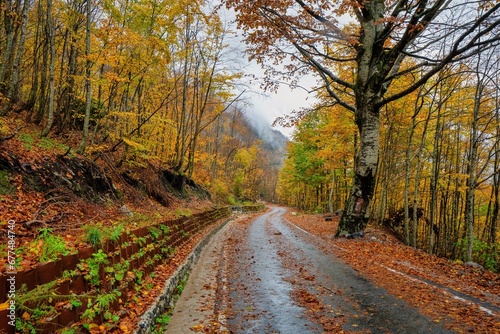 Mountain Road through Thethi National Park in northern Albania showing the magnificent colors of Autumn. 