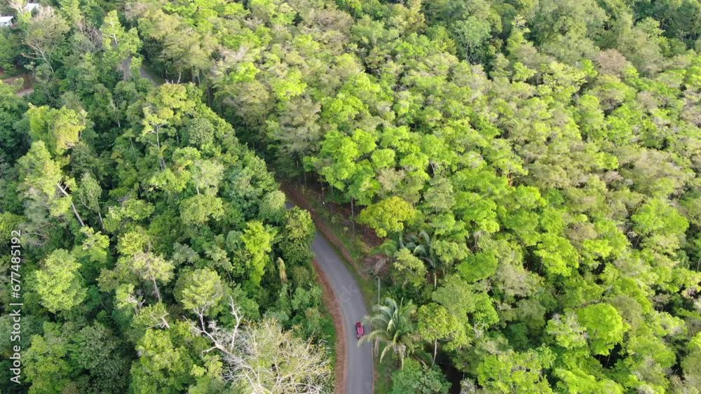 Costa Rica drone top view of a tree forest with a road in the middle and a car driving by Costa Rica drone top view of a tree forest with a road in the middle and a car driving by