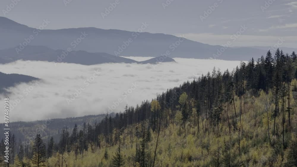 Mystical Cloudscape: Bird's Eye View of Fall-Colored Forests and Enveloped Valley Mystical Cloudscape: Bird's Eye View of Fall-Colored Forests and Enveloped Valley