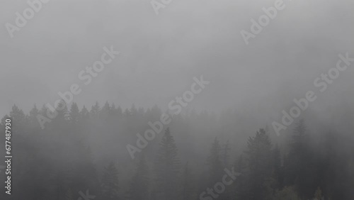 Aerial Views of Fog-Blanketed Forest near Little Fort in Autumn photo