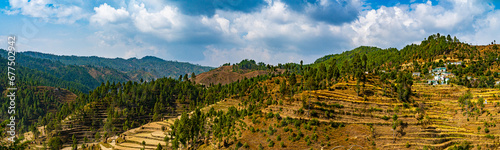 Photography Highland agricultural fields of wheat in the Himalayas, Uttarakhand, India Panor