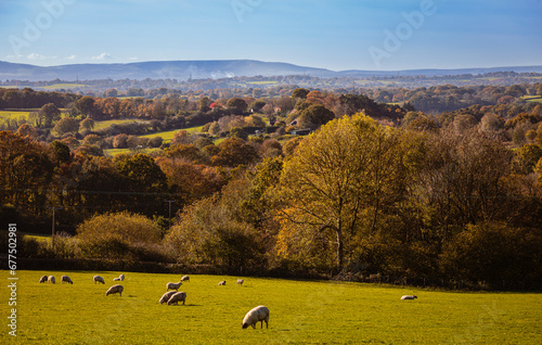 Autumn morning view over the high weald to the south downs from Herrings lane east Sussex south east England UK
