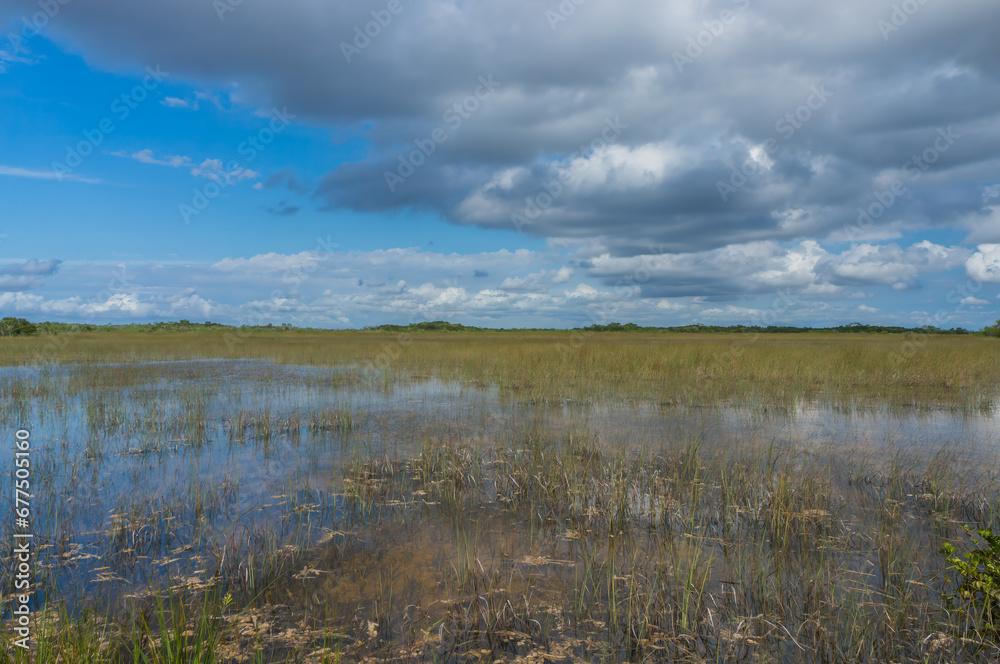 Everglades national park