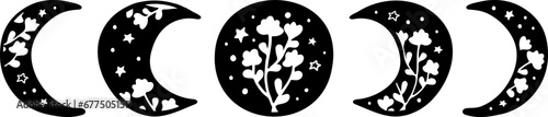 Floral moon phase doodle vector Illustration. Mystical silhouette cosmic elements celestial shapes with leaves, flowers and stars.  