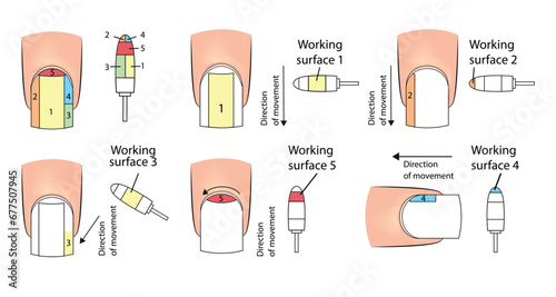 Illustration with working surfaces for a nail manicure cutter. Educational material
