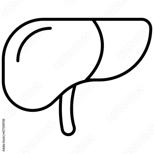 Menschen Körper Leber