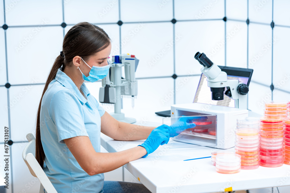 Genetic evolution studies: Petri dishes are used in genetic evolution Genetic evolution studies: Petri dishes are used in genetic evolution