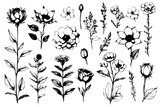 Floral vector element made wildflowers. Botanical flowers collection with pink flowers, leaf branches, wreath, leaves
