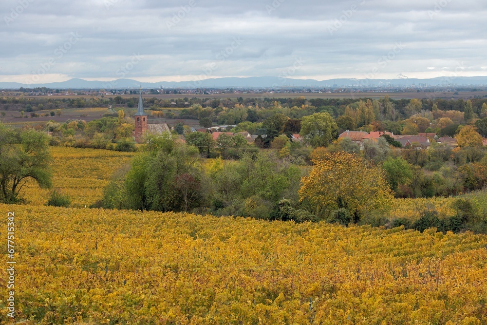 Fototapeta premium Forst an der Weinstraße
