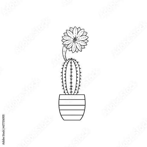 coloring book bushy thorn cactus black and white
