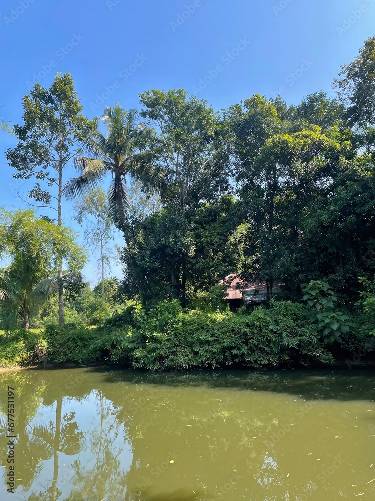 A beautiful clean water pond.this photo was taken from Chittagong,Bangladesh. A beautiful clean water pond.this photo was taken from Chittagong,Bangladesh.