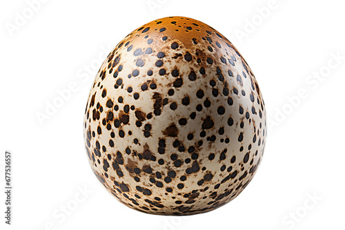 Motley quail egg closeup isolated on a Transparent background. Generative AI