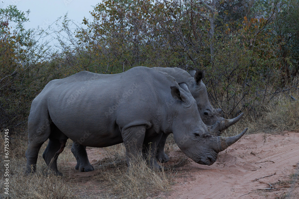 Over-landing and nature in Southern Africa Over-landing and nature in Southern Africa