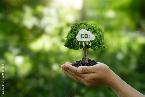 Reduce emission and Carbon neutral concept. Hand holding a tree with a CO2 symbol to limit climate change and global warming, and eco-friendly environment to green business. photo