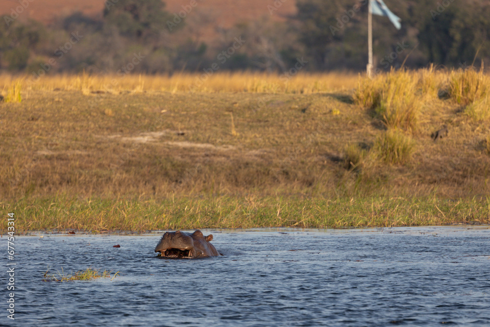 Fototapeta premium Over-landing and nature in Southern Africa