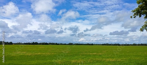 green field and blue sky