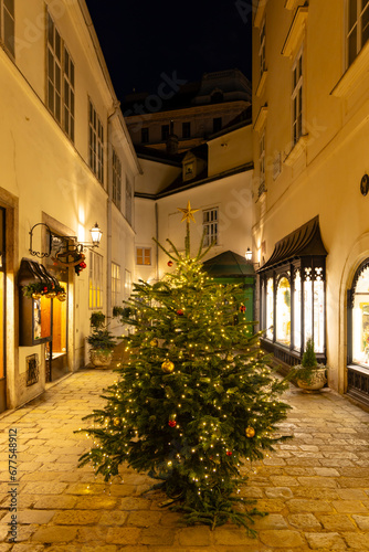 Christmas treeon street in downtown  Vienna  Austria