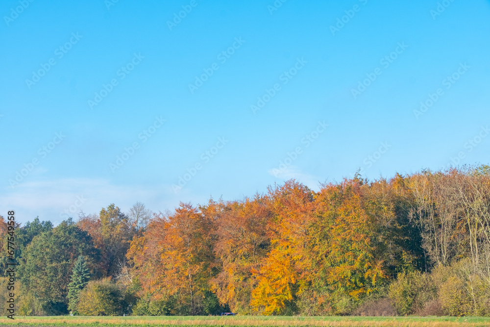 Herfst - Herfst 