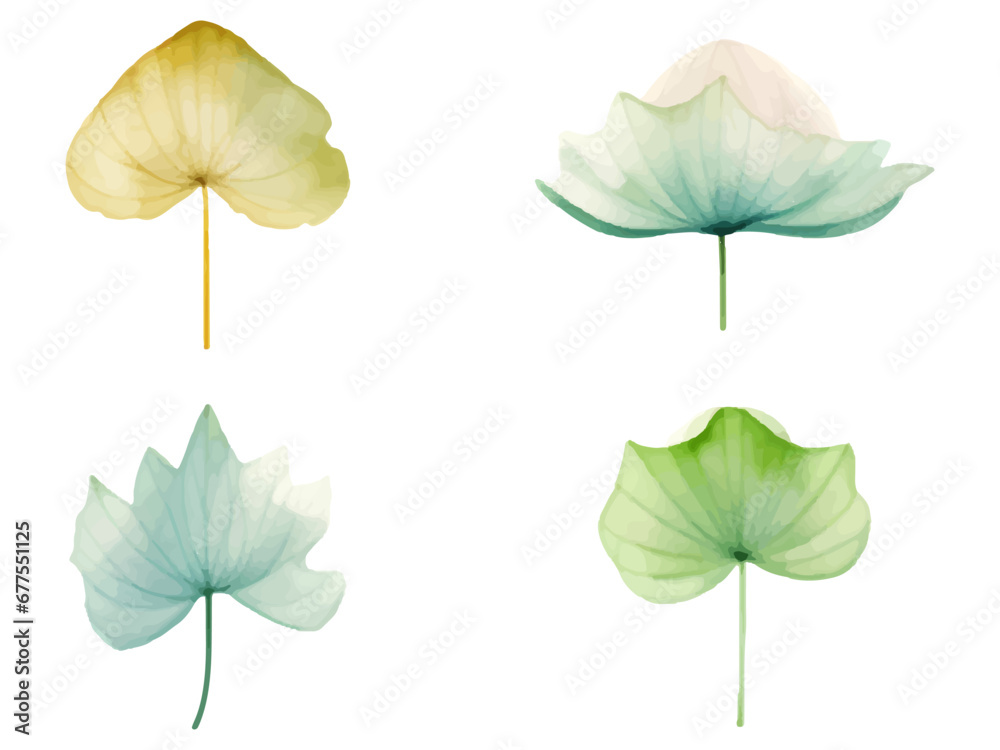 Collection of Watercolor Lotus Leaf Cliparts