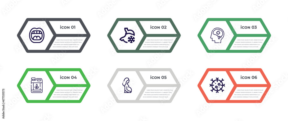 The effects of honey on the immune system